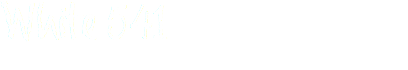 White 541