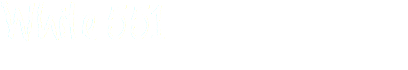 White 551