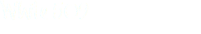 White 509